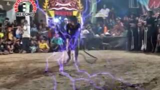 Download lagu Atraksi Pecutan - Turonggo Wilis vol.1 #barokahabadi mp3 Download lagu Atraksi Pecutan - Turonggo Wilis vol.1 #barokahabadi mp3