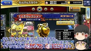 「ゆっくりどこパレ実況」奇跡起きる！？最後の最後でプチマダンテ狙いの特セレで奇跡が！！