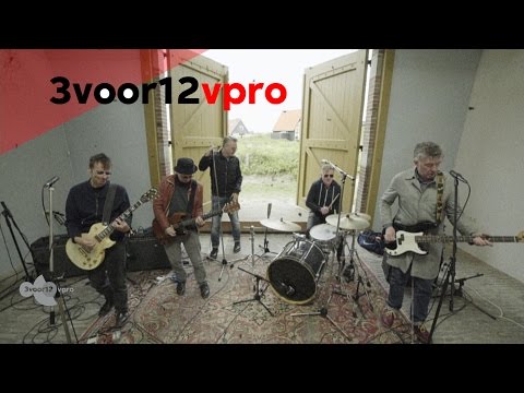 The Undertones - Teenage Kicks (3voor12 sessie @ Into The Great Wide Open 2015)