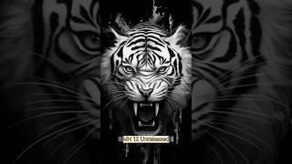 Download lagu 🔊BIRD HORN🙉🔊| (CHIV-CHIV MIX) COMPETITION HORN|UNRELEASED TRACK|#competition #music #djsong mp3