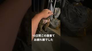 ダーちゃん、避妊しました