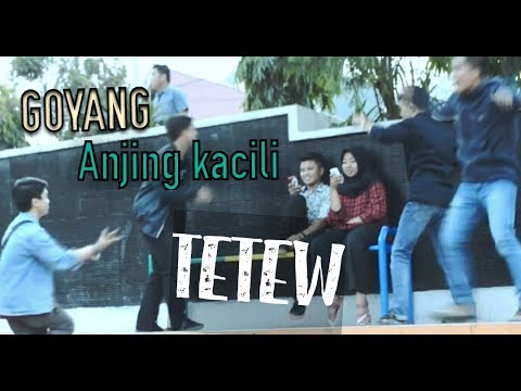 Goyang TETEW Anjing Kacili - nggak tau malu
