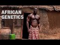 UNKNOWN AFRICAN GENETIC BEAST Mr Wad GYM MOTIVATION 2024