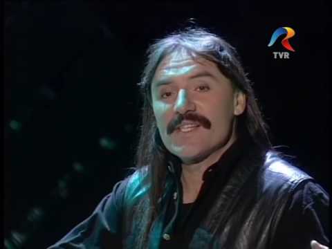 Vasile Şeicaru - Dacă ninge, vei găsi