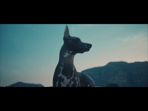 Noa Sainz, ALONG - "Aparecer ft. Orestes Gómez" (Video Oficial)