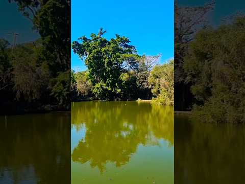 Clever Casado em Bálsamo/Sp #vlogdodia #horadoalmoço