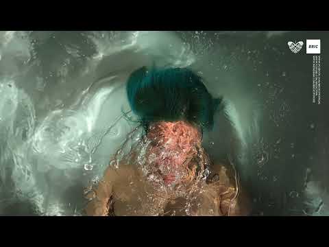 Brickcity - We the Forgettables [Full Album Stream]