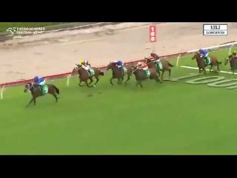 2017 CHIPPING NORTON STAKES - Winx