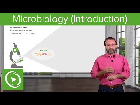 Introduction to Microbiology: Microbes & Bacteria – Microbiology| Lecturio