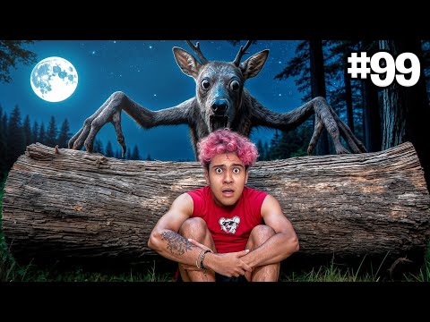 DEER 99 NIGHTS IN THE FOREST (IN REAL LIFE)