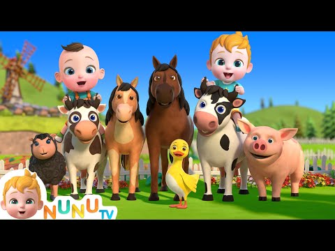 Moo Moo 🐄 Oink Oink ! 🐷 Animal Sound Song | Nursery Rhymes & Kids Songs | NuNu Tv