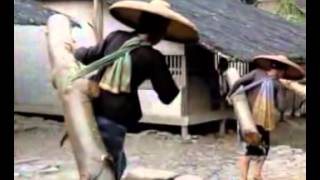 Download lagu Nyawang Balebat   Instrumental Kacapi Suling Akoer Lah flv   YouTube mp3 Download lagu Nyawang Balebat   Instrumental Kacapi Suling Akoer Lah flv   YouTube mp3