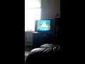 SpongeBob SquarePants
