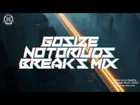 Breakbeat 2020 // Gosize - Notorious [Breaks Mix]
