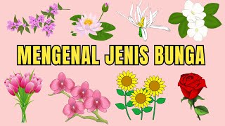 Download lagu Macam-Macam Bunga|Edukasi Anak mp3