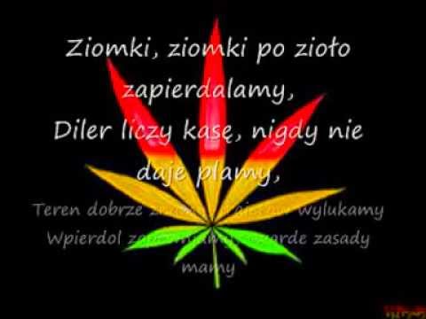 NiKC - Jedziemy Po Zioło + tekst