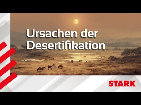 When fertile land becomes desert – causes of desertification | STARK explains