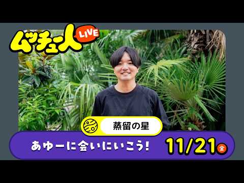 ムッチュー人LIVE｜蒸留の星のあゆーに会いにいこう！