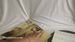 Taylor Dayne  Can´t Fight Fate. Vinilo original