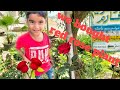 We Bought Red Rose From Nursery Viralvideo Redrose Play Likeforlikes Subscribe Newvlogs Foryo