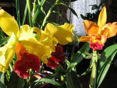 Thumbnail for It's My Turn video