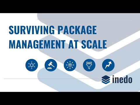 Package Management at Scale: The Hidden Bottlenecks in the Software Supply Chain