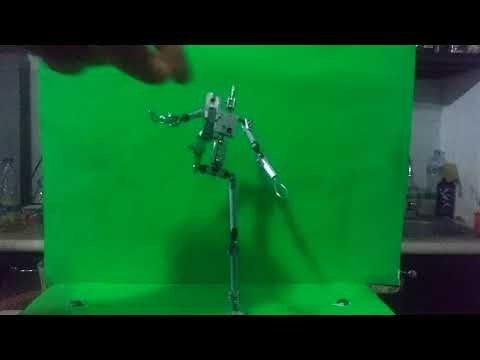 STOP MOTION ARMATURE, SELETON