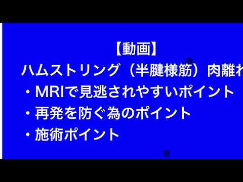 ハムストリング半膜様筋肉離れ施術ポイント