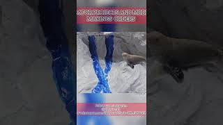 easy DIY model on glaciers | melting glacier: the shrinking snow