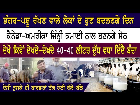 Constipation Veterniary Medicine