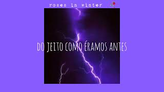 t.r.a.d.u.ç.ã.o • were before - cults ☔🦛