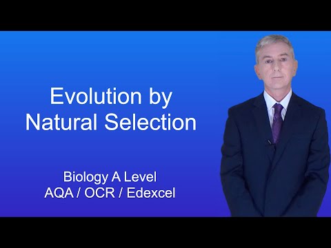 A Level Biology Revision "Evolution by Natural Selection"