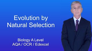 A Level Biology Revision Evolution by Natural Selection
