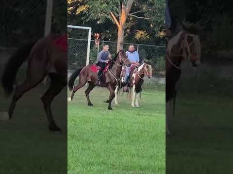 Carrera De Pañuelos A Caballo 🐎 Catacamas Olancho