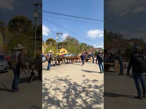 Encontro de Carreiros de Natércia MG