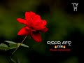 Pani Magili Tate Odia Status Video New Sts Scene No 2