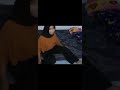 CIPOKAN Jilbab Viral Kiss Viral Cipoan