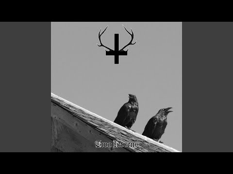 Video thumbnail for Two Ravens