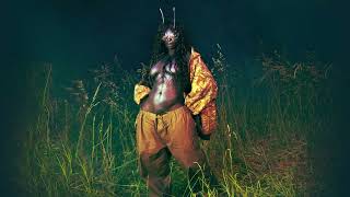 SZA - Get Behind Me (Interlude) [Official Audio]