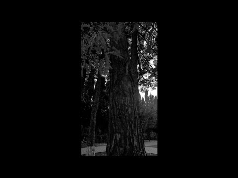 (FREE) HAMMALI & NAVAI x JONY x 10AGE TYPE BEAT - "HEAVY RAIN" (prod. by PATTERN)