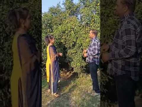 DHANRAJ FRUIT NURSERY