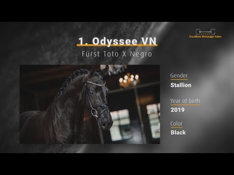 Odyssee VN - Fürst Toto x Negro