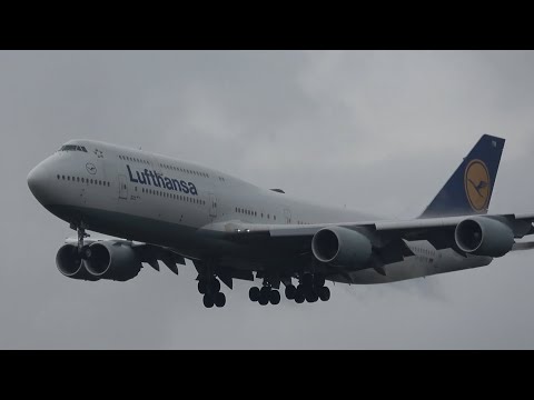HEAVY RAIN Close-Up LANDINGS at FRANKFURT AIRPORT (FRA/EDDF) | Part 2