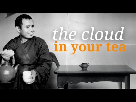 Our True Nature | Teaching by Thich Nhat Hanh | #mindfulness