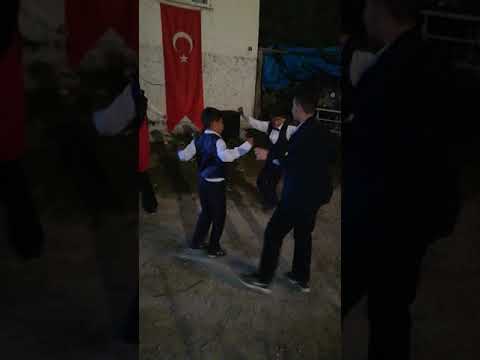 Beyyurdu köyü c.emirhan,talha berathan erik dalı