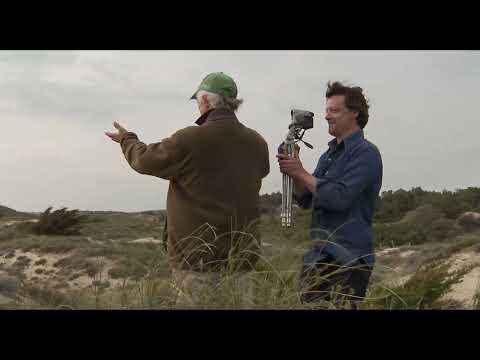 Une île - Retour sur la fabrication d'un film hybride avec Anne Alix, réalisatrice