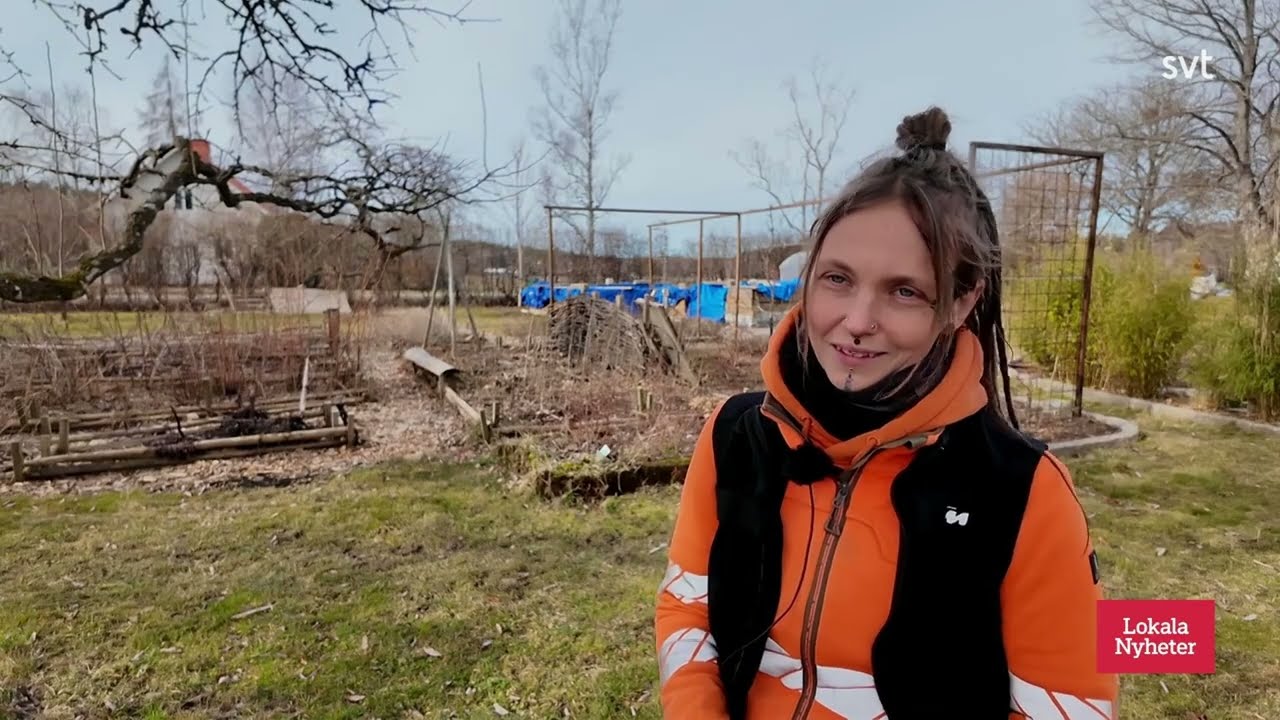 Levmo Trädvård AB – utbildad arborist i Södermanland