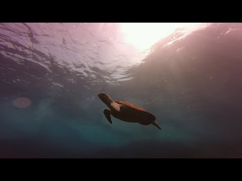 Sailing Admirer Season 2 ep3 - From Pulau Kapas to Pulau Tenggol