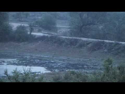 Djuma: Sights and sounds with raining - 04:40 - 12/08/19