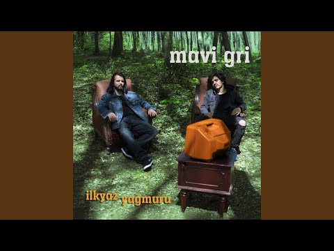 Papatyalar - Mavi Gri